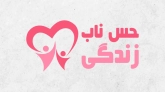 Logo portfolio11