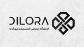 Logo portfolio17